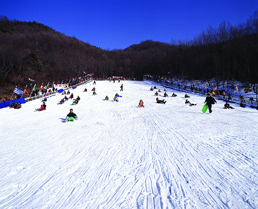 江原道龙平滑雪度假村2天1晚滑雪旅游 [CB-05]