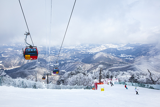 江原道龙平滑雪度假村2天1晚滑雪旅游 [CB-05]