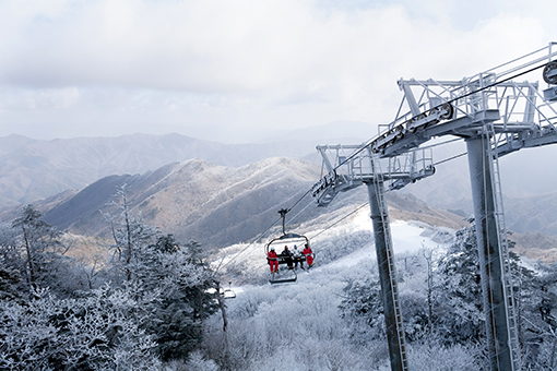 江原道龙平滑雪度假村2天1晚滑雪旅游 [CB-05]