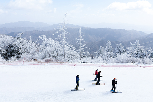 江原道龙平滑雪度假村2天1晚滑雪旅游 [CB-05]