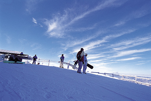 江原道龙平滑雪度假村2天1晚滑雪旅游 [CB-05]